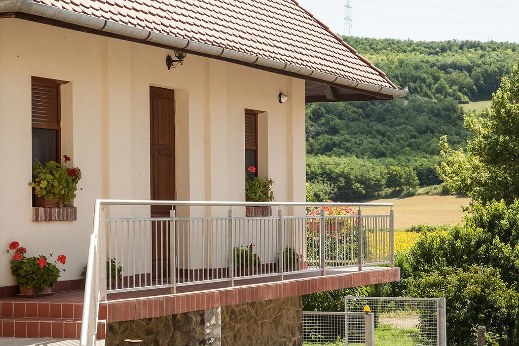 Hotel Wekler Csaladi Pinceszet Es Panzio Mecseknádasd Zewnętrze zdjęcie